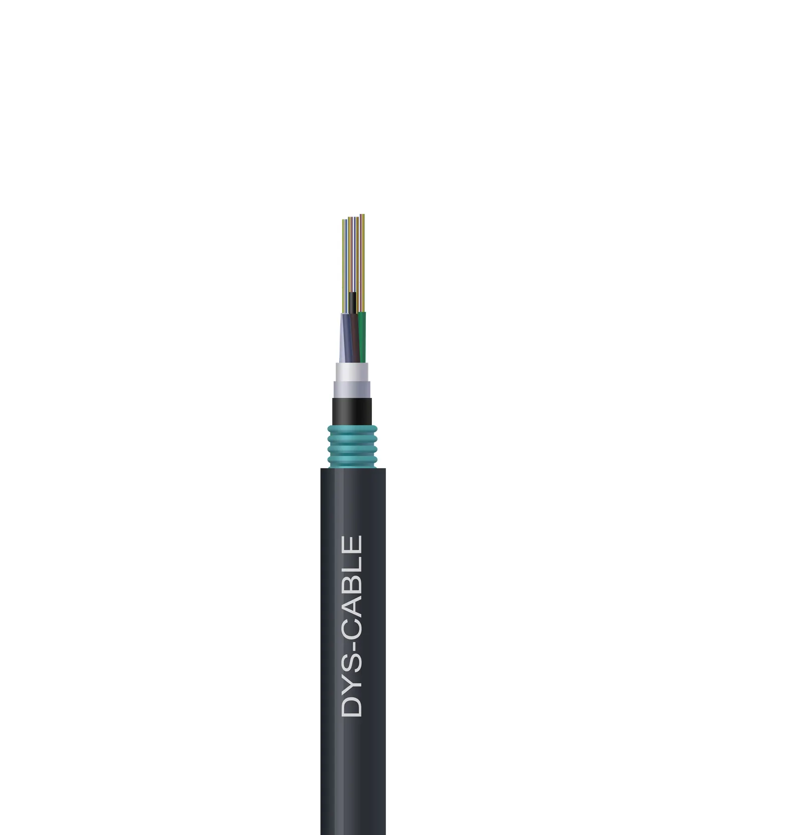 Stripped cable end showing the steel-tape armor layer, inner sheath and loose-tube fiber unit of a direct-burial outdoor cable