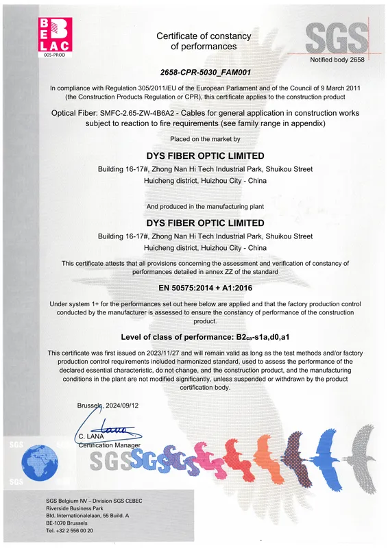 CPR certificate first page