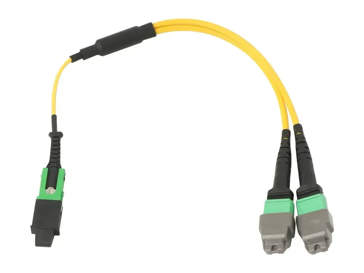DYS SN-MT to MPO cable assembly